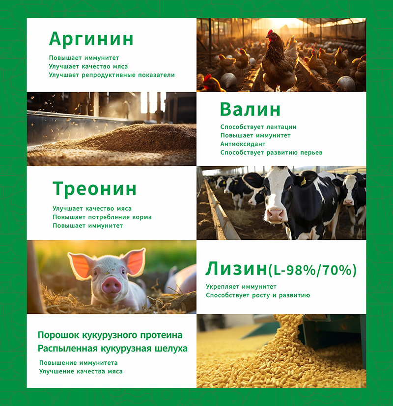 2024 First overseas stop | Russia International Livestock Show! Dongxiao Biology invites you to visi(图3)