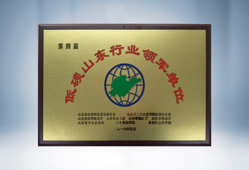 低碳山东行业领军单位