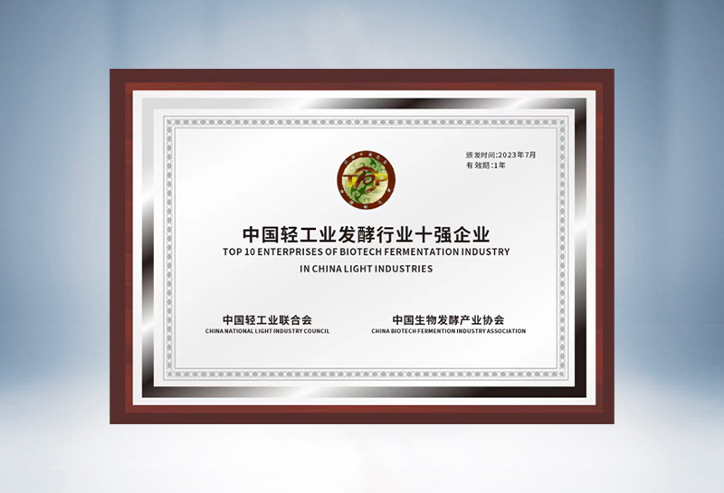中国轻工业发酵行业十强企业