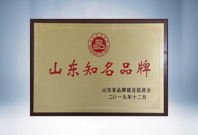 山东知名名牌