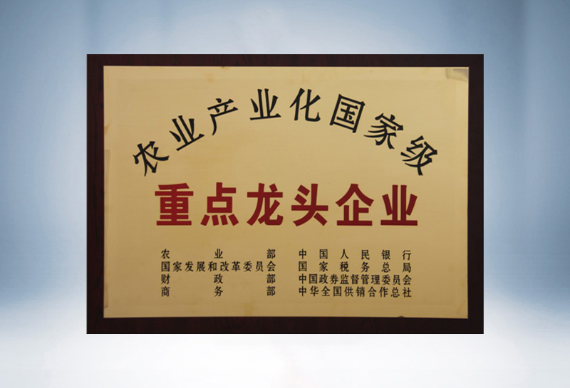 重点龙头企业