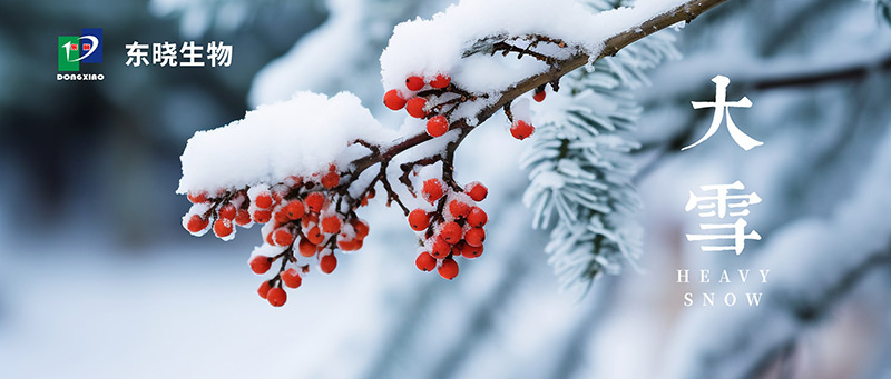 Today's snow | cold don't have rhyme, snow reflected guanghua